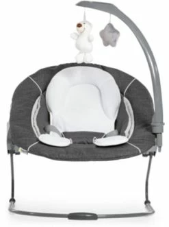 Möbel Hauck Bouncer Deluxe 2in1 Für Hochstuhl Alpha+ Und Beta+ Newborn Set Günstig Kaufen 17 Möbel Hauck Bouncer Deluxe 2in1 Für Hochstuhl Alpha+ Und Beta+ Newborn Set Günstig Kaufen -Hauck shop hauck bouncer deluxe 2in1 fur hochstuhl alpha und beta newborn set 15