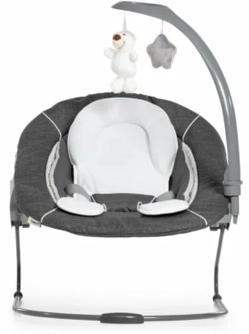 Möbel Hauck Bouncer Deluxe 2in1 Für Hochstuhl Alpha+ Und Beta+ Newborn Set Günstig Kaufen 8 Möbel Hauck Bouncer Deluxe 2in1 Für Hochstuhl Alpha+ Und Beta+ Newborn Set Günstig Kaufen – Bild 6