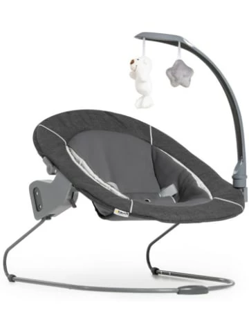 Möbel Hauck Bouncer Deluxe 2in1 Für Hochstuhl Alpha+ Und Beta+ Newborn Set Günstig Kaufen 9 Möbel Hauck Bouncer Deluxe 2in1 Für Hochstuhl Alpha+ Und Beta+ Newborn Set Günstig Kaufen – Bild 7