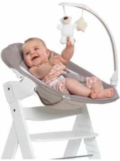 Möbel Hauck Bouncer Deluxe 2in1 Für Hochstuhl Alpha+ Und Beta+ Newborn Set Günstig Kaufen -Hauck shop hauck bouncer deluxe 2in1 fur hochstuhl alpha und beta newborn set 4