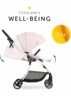 Autositze & Kinderwagen Hauck Buggy Colibri, Melange Rose Günstig Kaufen -Hauck shop hauck buggy colibri melange rose 3