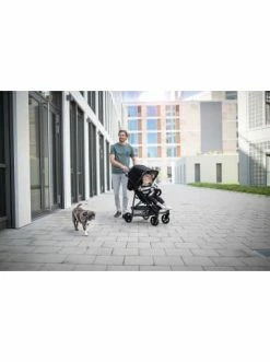 Autositze & Kinderwagen Hauck Buggy Rapid 4, Caviar/silver Günstig Kaufen -Hauck shop hauck buggy rapid 4 caviar silver 3
