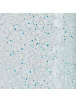 Möbel Hauck Hochstuhl Sit'n Relax In Grau Günstig Kaufen -Hauck shop hauck hochstuhl sitn relax in grau 8